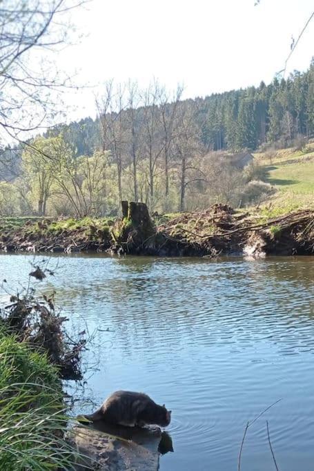 Apartamento Ferienglueck Im Schwarzwald Zimmern ob Rottweil Exterior foto